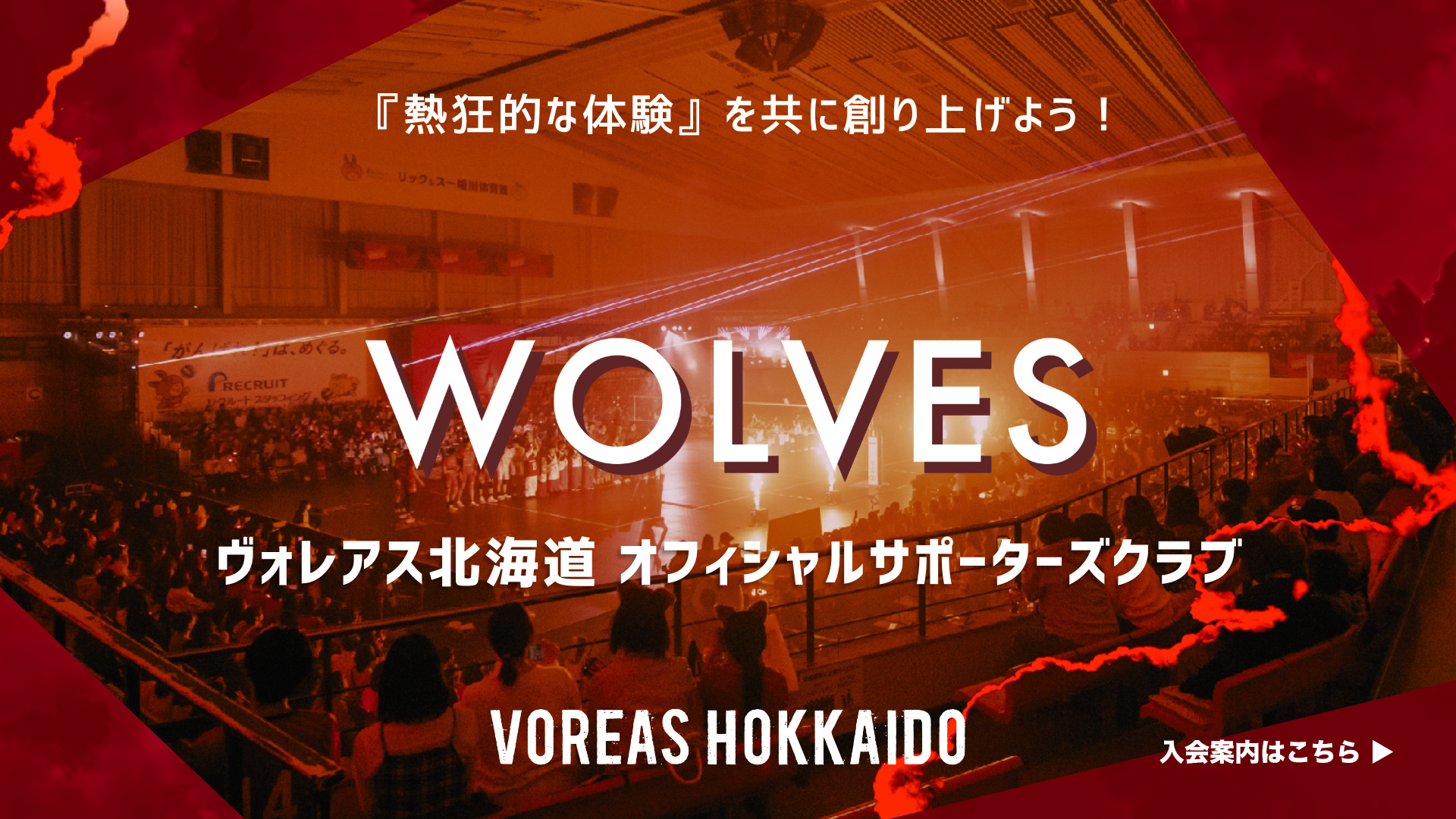 WOLVES オフィシャルサポーターズクラブ 新規入会募集