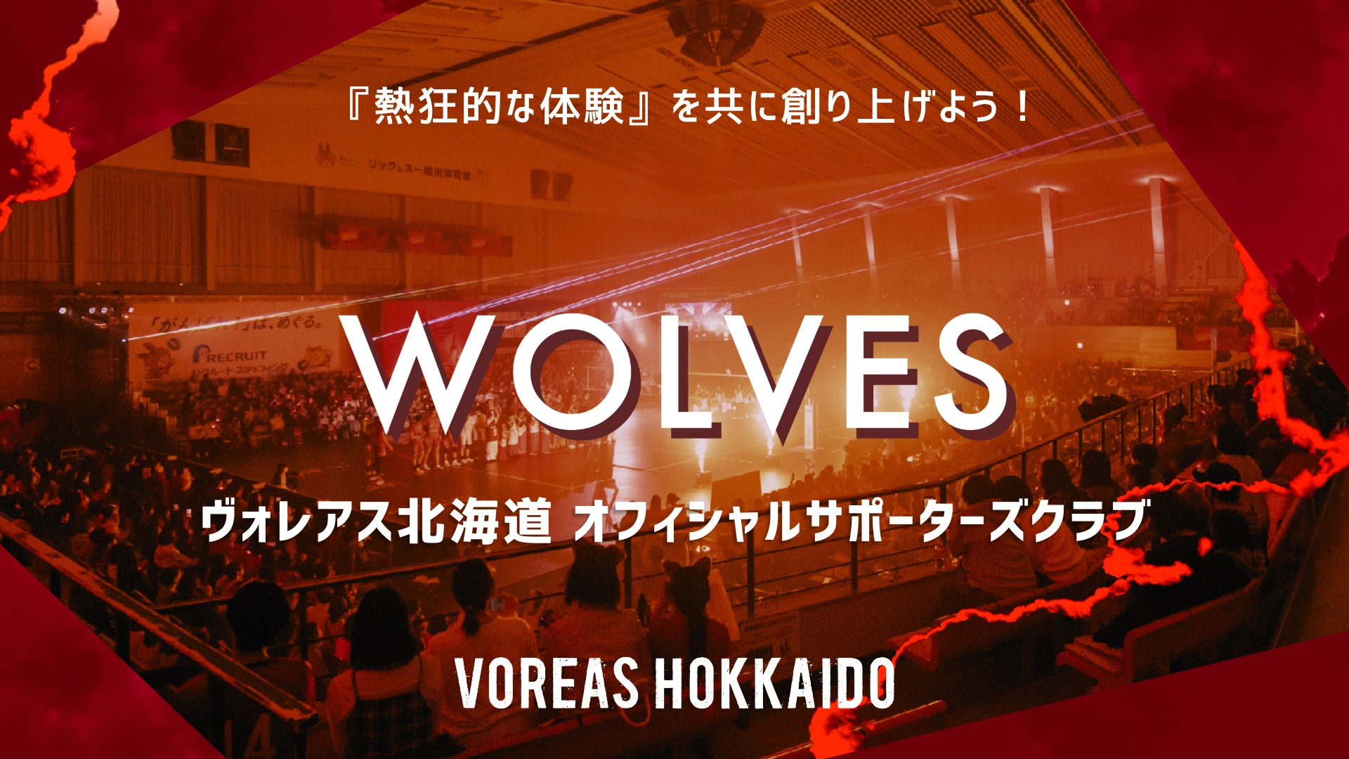 WOLVES オフィシャルサポーターズクラブ 新規入会募集